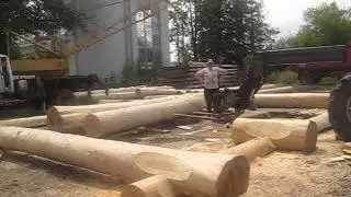 Подача бревна Manitou
