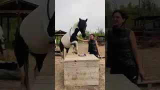 О нашем клубе