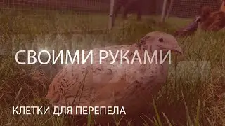 Клетка для перепелов из старого шкафа! Чем занят был?)