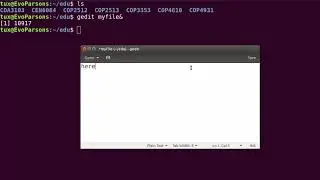 M02T2.4 - Intro to Linux - Bash Command Substitution