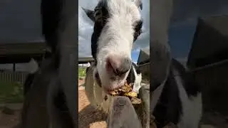 Spoon POV part 4
