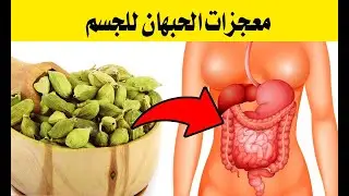 تخيل حبة من الحبهان تصنع معجزات بجسمك .. لماذا يتربع الحبهان على عرش التوابل ؟