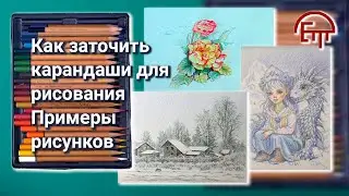 How to sharpen pencils for drawing. Examples of drawings