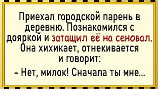 Такого от доярки парень точно не ожидал! Сборник свежих анекдотов!