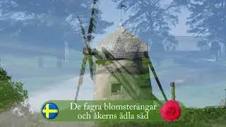 Den Blomstertid Nu Kommer  4k