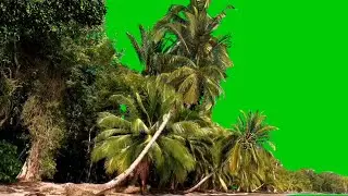 green screen nature background