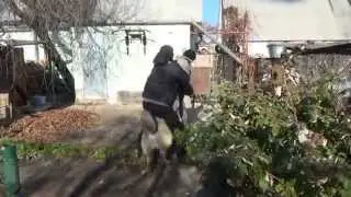 Kazbek - security