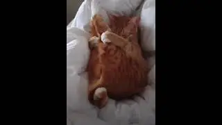 Возмутительно…