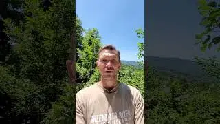 Участок на пути на Красную Поляну в Сочи!
