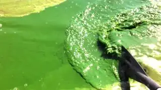 Воронежское водохранилище