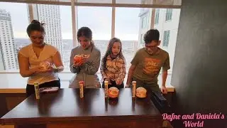 Opening a Surprise at Niagara Falls, Ontario. Abriendo unas mini plantas y velas. #surprise #mini