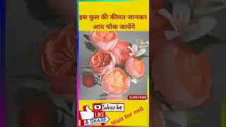 इस फुल की कीमत जानकर चौंक जाएंगे 😱 Fact-Xpress #shorts #fact
