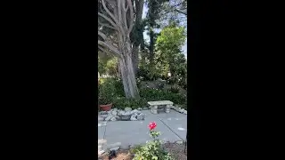 The Ruth and Allen Ziegler International Garden of Meditation at City of Hope