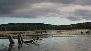 Река Кутамыш, Пермский край.