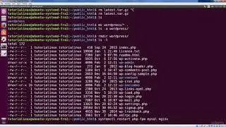 Downloading and Installing the WordPress Application