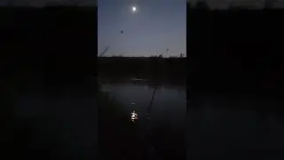 Ночная рыбалка
