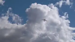 hang glider 。。。🎵