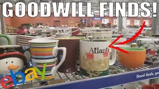 I Spent $388 Thrifting Goodwill! What Did I Find to Sell on Ebay and Amazon FBA?