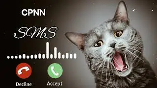 Abe Yaar Ringtone | New Sms Ringtone 2023 | Cat Ringtone | 