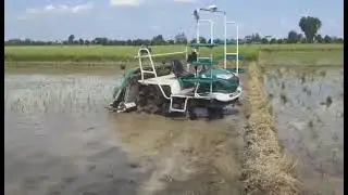 Auto guiding system in rice transplating