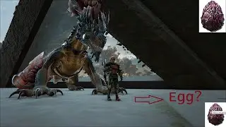 How to get Rock Drake eggs in Ark  (without a Rock Drake)