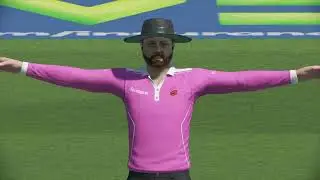 Cricket 22