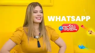 What is WhatsApp and how does it work - Aunt Ceci