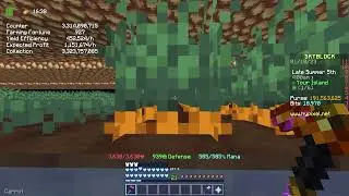 Hypixel Skyblock - How To Farm In 2023