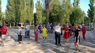 Хороши весной в саду цветочки 🌺