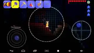 Terraria boss battles montage.