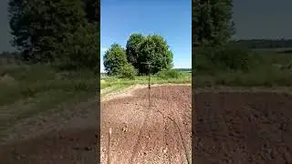 Полив картофеля на даче своими руками!