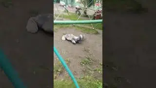 18 августа 2024 г.
