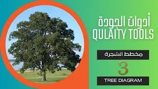 Tree diagramمخطط الشجرة - الجزء 3