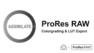 ProRes RAW - Colorgrading & LUT Export