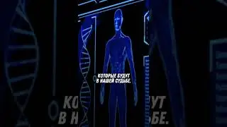 Наши привычки строят нашу судьбу| Истина Любви