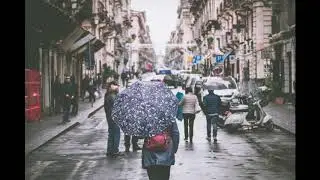 8 Hour Nature Rain Sound Relaxation/Ultimate Stress Relief, Deep Sleep, Meditation
