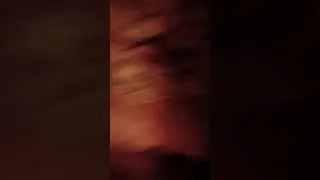 По телефону и не только в понедельник в этом случае не предоставления услуг