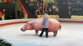 Новая Шоу-Программа в Казанском цирке | Полная версия