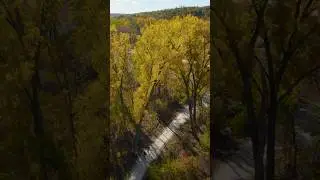 Autumn Bike Ride #drone