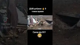 ЗСУ може