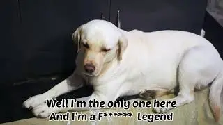 Max is a Legend!!!