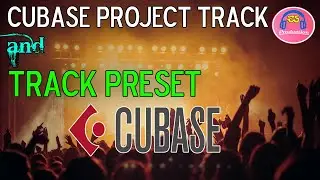 Get The Perfect Cubase Project Track And Track Preset With Steinberg!