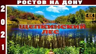 ЩЕПКИНСКИЙ ЛЕС РОСТОВ НА ДОНУ