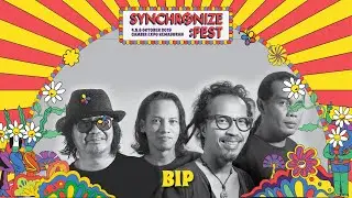 BIP 
