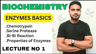 Enzyme basics ||Chemotrypsin||Bi-Bi Reaction ||serine protease ||properties of Enzymes