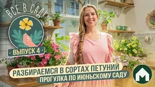 Выбираем самые неприхотливые растения для сада и рассказываем про ампельные петунии / Все в сад! #4
