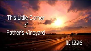 THIS LITTLE CORNER OF FATHER'S VINEYARD | 6 25 2023