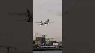 Perfect Timing For A Photo