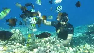 Tips latihan Nafas dulu sebelum Snorkling
