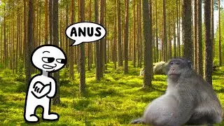 anus